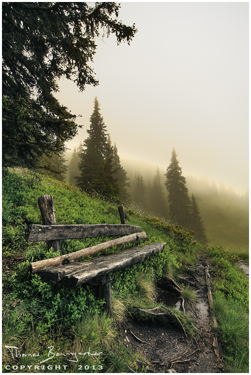 Benches After the Rain III