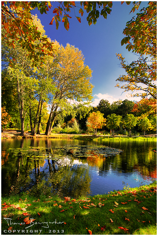 Tiergarten Berlin