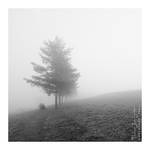 To lose oneself in thought by Argolith To lose oneself in thought by Argolith