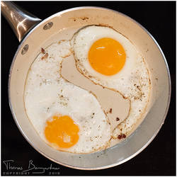 Yin-yang eggs