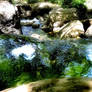 A small mountain stream and waterfall.