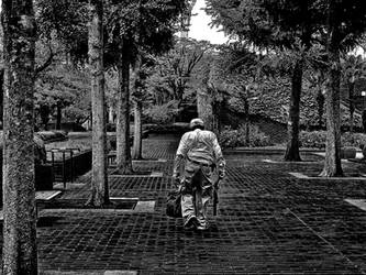 Old man cleaning the garden