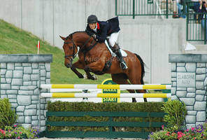 Rolex 2010 - Cool Mountain 2