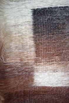 Horse Hair Tapestry Closeup