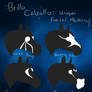 Brillo Caballo Facial Markings