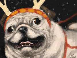 Pug- the reindeer