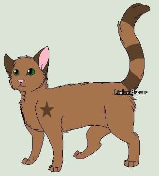 Deviantart Reedster Reedstar by ScarletsWarriorsWiki on DeviantArt