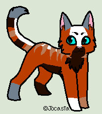 Jumbles Kit Jumblekit by ScarletsWarriorsWiki on DeviantArt