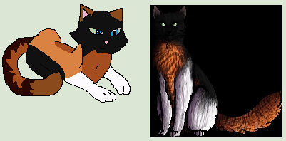 Brindlekit Brindlestar by ScarletsWarriorsWiki on DeviantArt