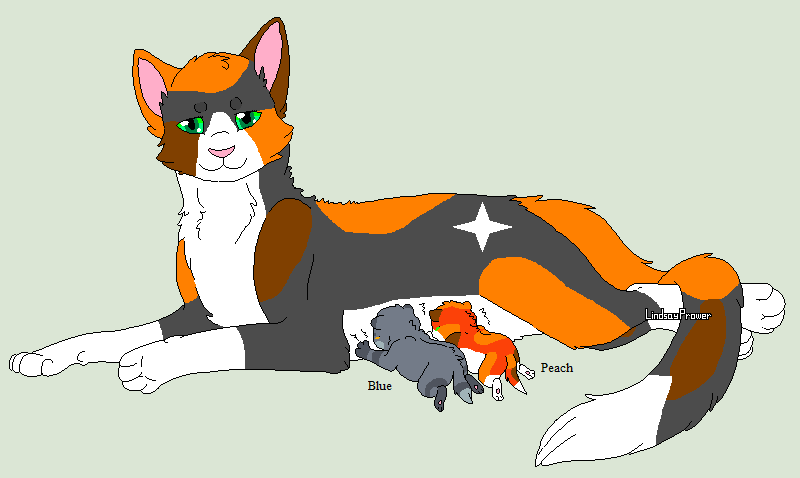 Clans of Warrior cats by bleachIchiRuki69357 on DeviantArt