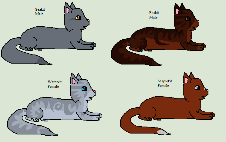 Bluestar, WARRIORS Wiki