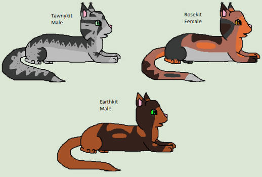 Brindlekit Explore the Best Kits Art | DeviantArt
