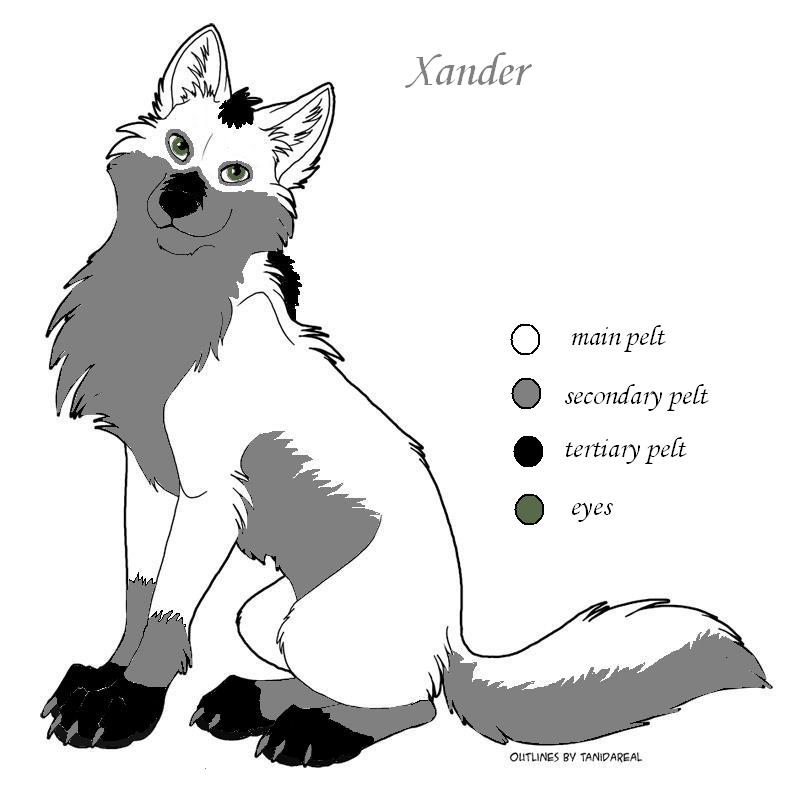 Xander - ref by Diesel200 on DeviantArt