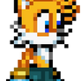 Tails with pants and fingerless gloves