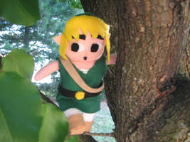 Wind Waker Link II