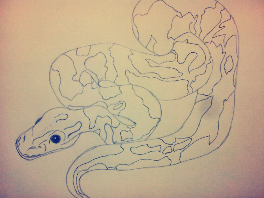 Banana Ball Python by CrazyCrock on DeviantArt