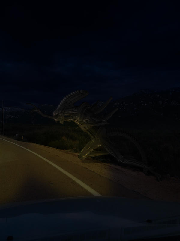 roadside alien encounter