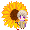 APH - Russia sunflower version