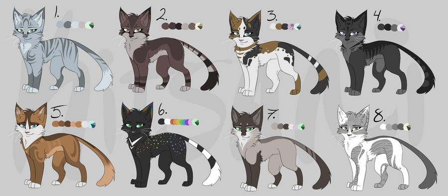 Kitty Adoptables