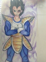 Vegeta Request!!!