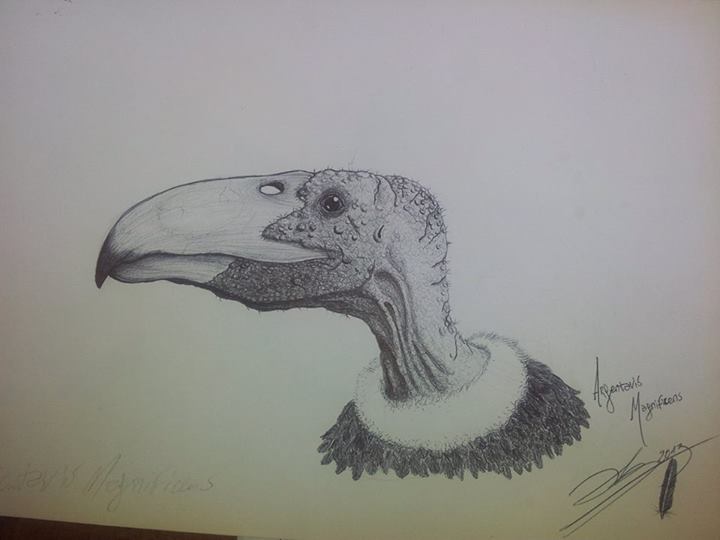 Argentavis