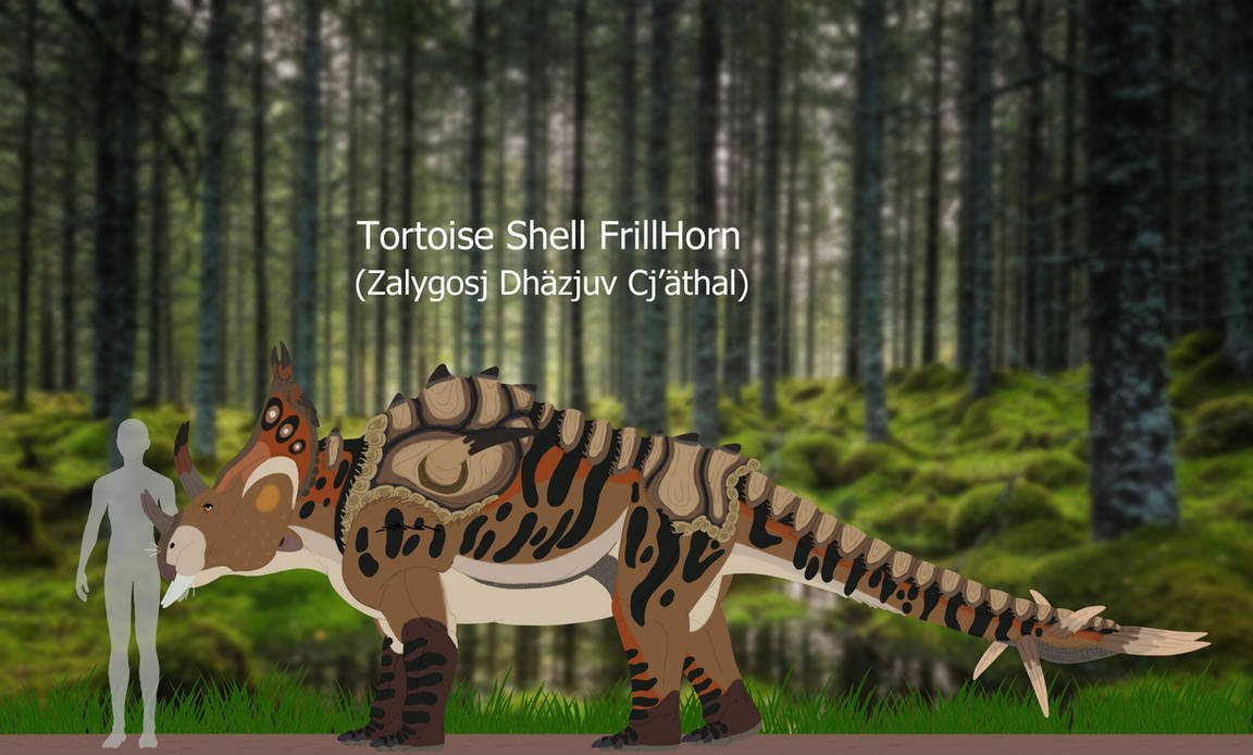 Tortoise Shell FrillHorn by firekitsune99 on DeviantArt