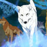 wolfs rain