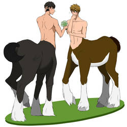 SouMako centaurs