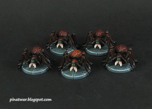 Cave Spiders