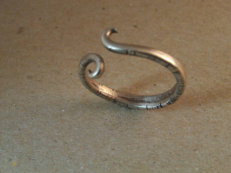 Worm Ring