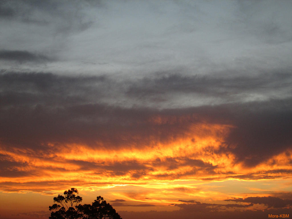 Rare Cloud Sunset Close View