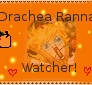 Drachea Rannak Stamp