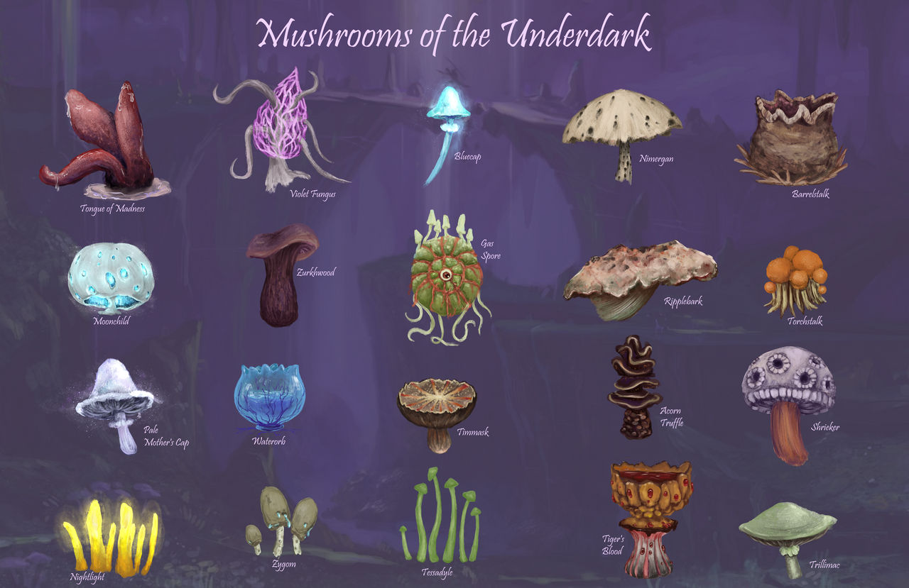 Mushrooms Of The Underdark Poster By Epikowl On DeviantArt mushrooms-of-the-underdark-poster-by-epikowl-on-deviantart