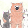 Heathcliff's New Cat Friends