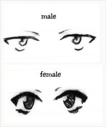 Male vs. Female eyes