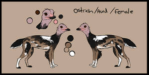 Awd Ostrich Gryphon Adopt (closed)