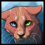 Kittiehkat icon Com