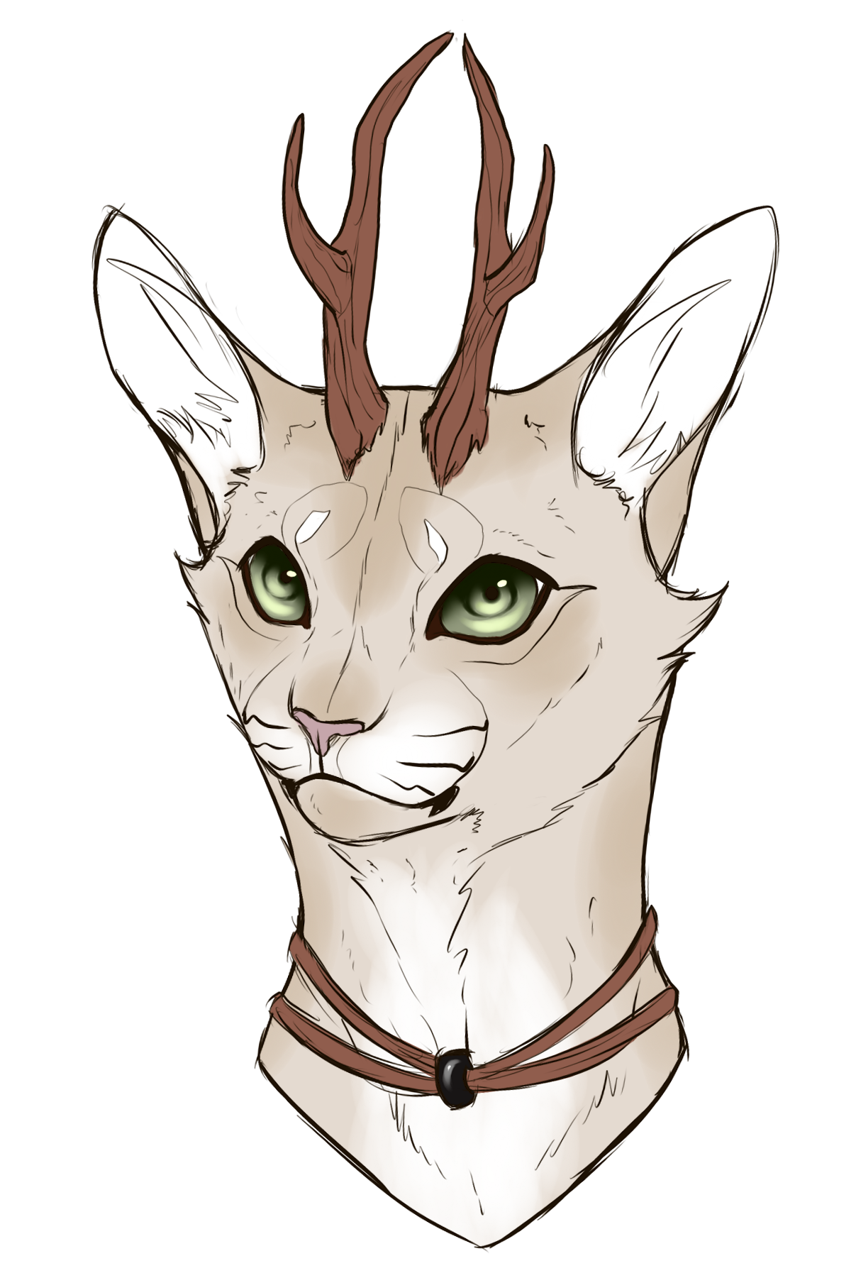 Elf cat