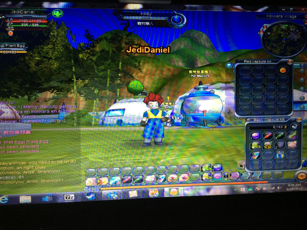 Dragon Ball Online Pet Egg Iting Pet Lover