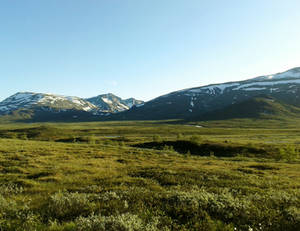 Arctic mountain meadow summer by Just-Stocks