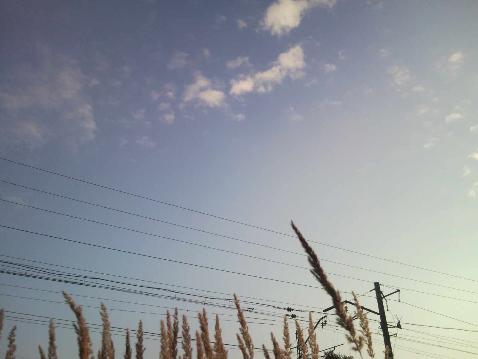 Sky(3)