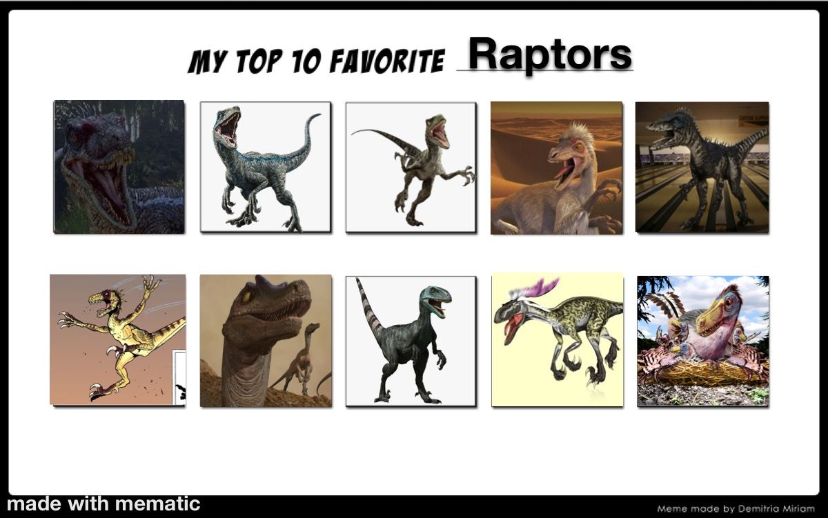 Best Rapter Earth My Top 10 Favorite Raptors by Allorock2 on DeviantArt