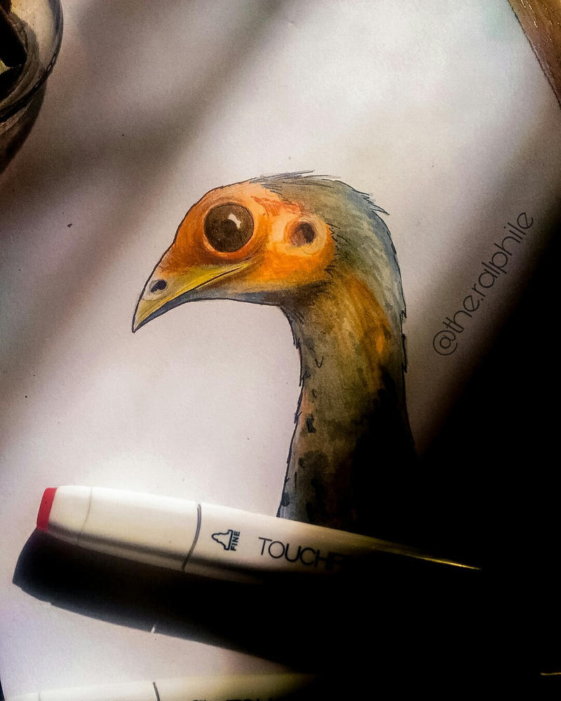 Megapodius cumingii by TheRalphile on DeviantArt