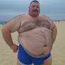 bear at the beach 15