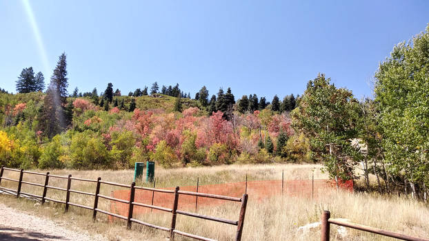 Fall Farmland