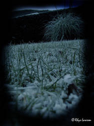Frosted Grass, Close my eyes.