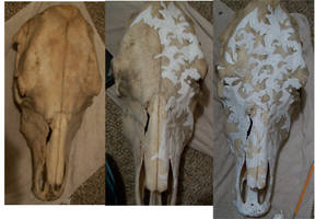 Cow Skull Painting step1-3