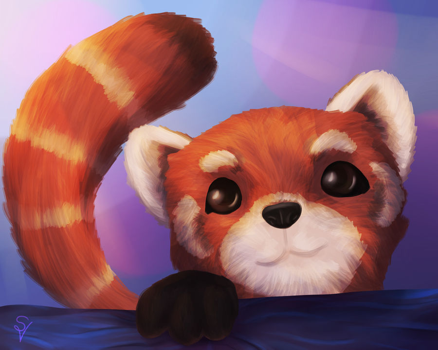 Red Panda by SOSArtStuff on DeviantArt