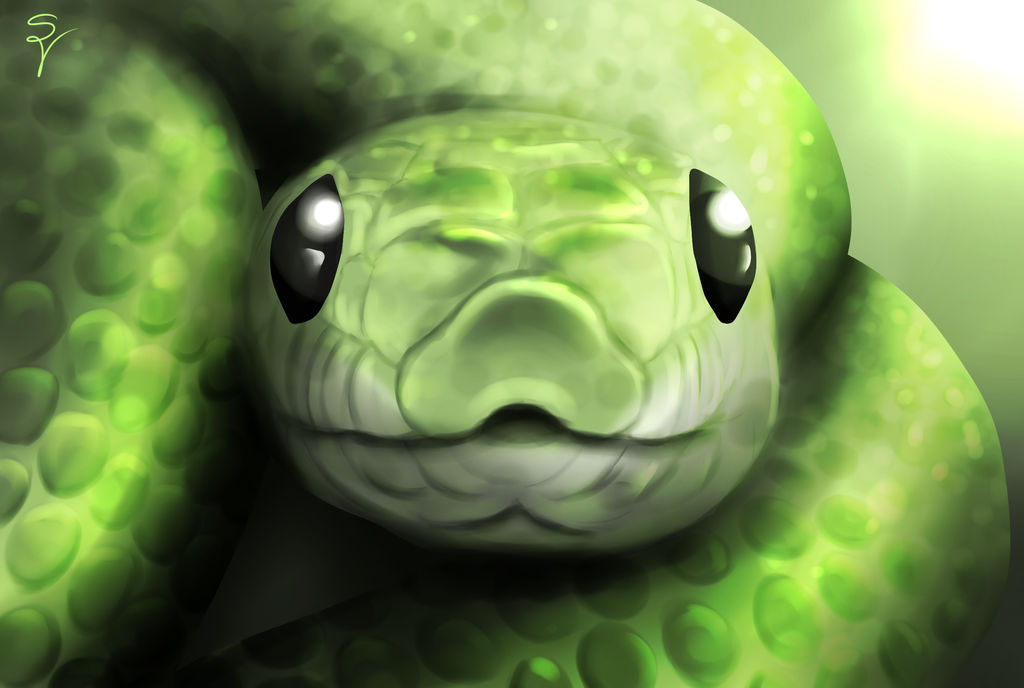 Snake by SOSArtStuff on DeviantArt