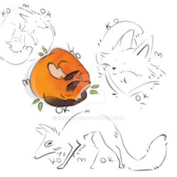 Sketches of a fox-cat